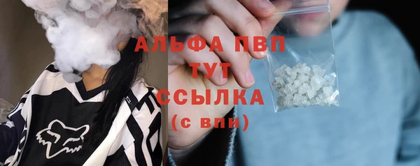 сатива Магадан