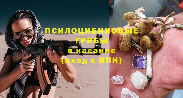 сатива Магадан