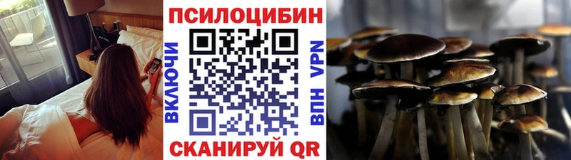 мега   закладка  Шенкурск  Псилоцибиновые грибы мицелий 